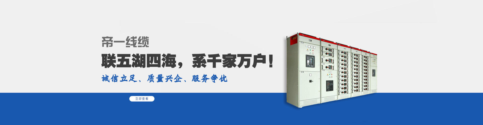 PP王者电子