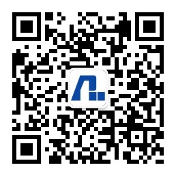 PP王者电子